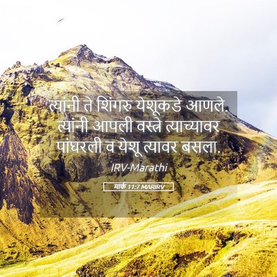 Picture 05 - मार्क 11:7 MARIRV - त्यांनी ते शिंगरु - Bible Verse Picture