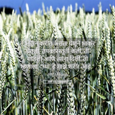 Picture 05 - मार्क 14:22 MARIRV - ते भोजन करीत असता - Bible Verse Picture