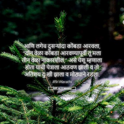 Picture 05 - मार्क 14:72 MARIRV - आणि लगेच - Bible Verse Picture