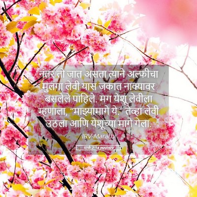Picture 05 - मार्क 2:14 MARIRV - नंतर तो जात असता - Bible Verse Picture