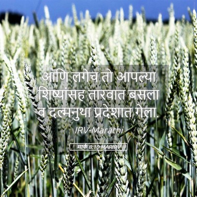 Picture 05 - मार्क 8:10 MARIRV - आणि लगेच तो आपल्या - Bible Verse Picture