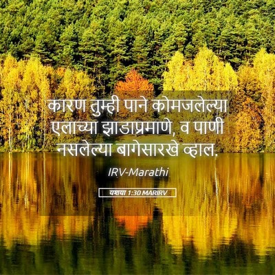 Picture 05 - यशया 1:30 MARIRV - कारण तुम्ही पाने - Bible Verse Picture