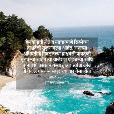Picture 05 - यशया 16:8 MARIRV - हेशबोनाची शेते व - Bible Verse Picture