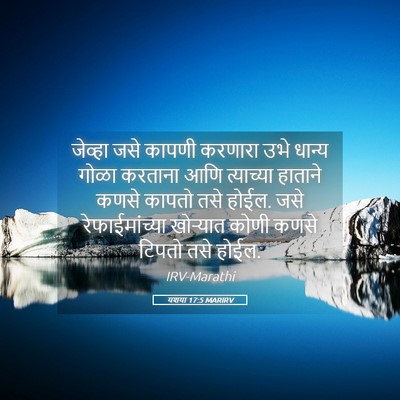 Picture 05 - यशया 17:5 MARIRV - जेव्हा जसे कापणी - Bible Verse Picture