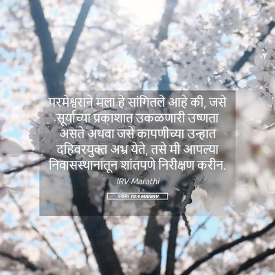 Picture 05 - यशया 18:4 MARIRV - परमेश्वराने मला - Bible Verse Picture
