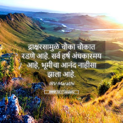 Picture 05 - यशया 24:11 MARIRV - द्राक्षरसामुळे - Bible Verse Picture