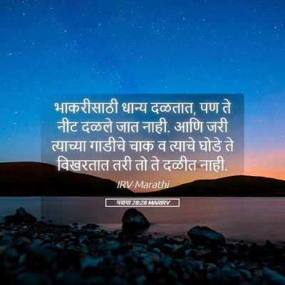 Picture 05 - यशया 28:28 MARIRV - भाकरीसाठी धान्य - Bible Verse Picture