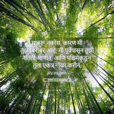 Picture 05 - यशया 43:5 MARIRV - घाबरू नकोस, कारण मी - Bible Verse Picture