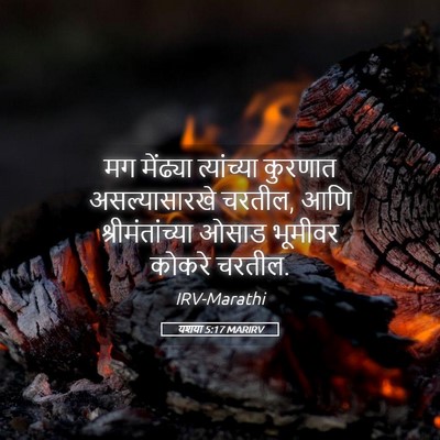 Picture 05 - यशया 5:17 MARIRV - मग मेंढ्या - Bible Verse Picture
