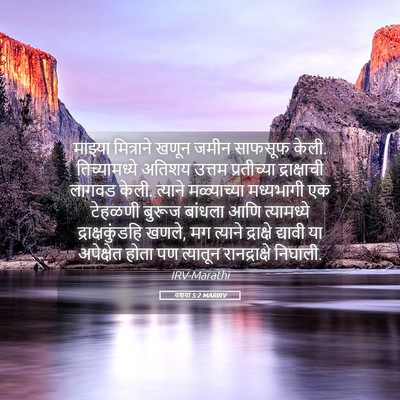 Picture 05 - यशया 5:2 MARIRV - माझ्या मित्राने - Bible Verse Picture