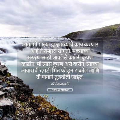 Picture 05 - यशया 5:5 MARIRV - आता मी माझ्या - Bible Verse Picture