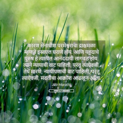 Picture 05 - यशया 5:7 MARIRV - कारण सेनाधीश - Bible Verse Picture