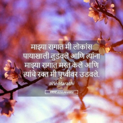 Picture 05 - यशया 63:6 MARIRV - माझ्या रागात मी - Bible Verse Picture