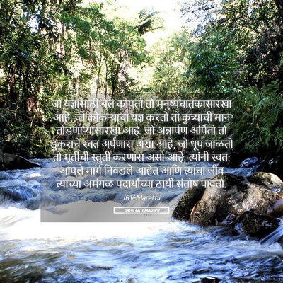 Picture 05 - यशया 66:3 MARIRV - जो यज्ञासाठी बैल - Bible Verse Picture