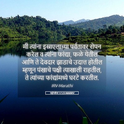 Picture 05 - यहेज्केल 17:23 MARIRV - मी त्यांना - Bible Verse Picture