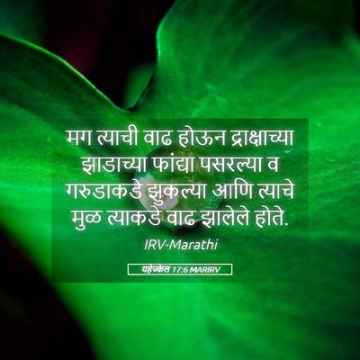 Picture 05 - यहेज्केल 17:6 MARIRV - मग त्याची वाढ होऊन - Bible Verse Picture