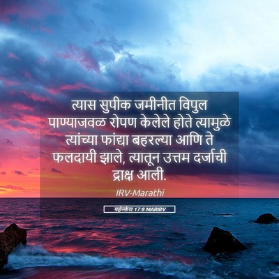 Picture 05 - यहेज्केल 17:8 MARIRV - त्यास सुपीक - Bible Verse Picture
