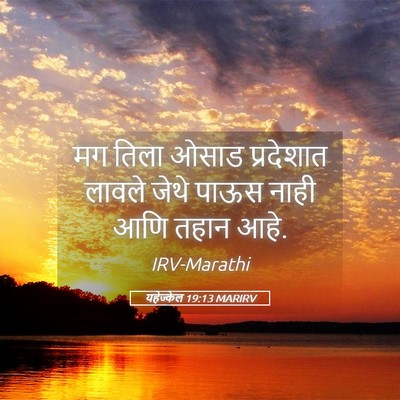Picture 05 - यहेज्केल 19:13 MARIRV - मग तिला ओसाड - Bible Verse Picture