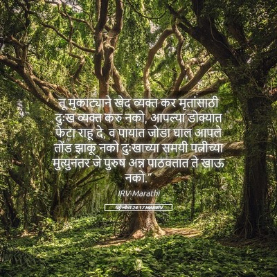 Picture 05 - यहेज्केल 24:17 MARIRV - तू मुकाट्याने खेद - Bible Verse Picture