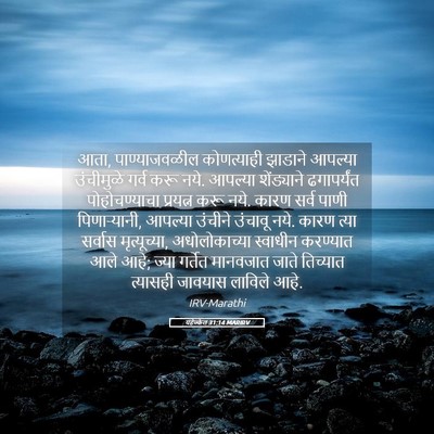 Picture 05 - यहेज्केल 31:14 MARIRV - आता, पाण्याजवळील - Bible Verse Picture