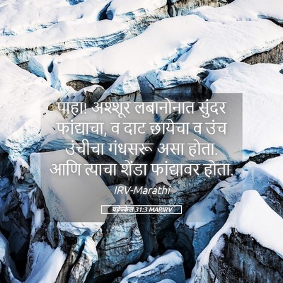 Picture 05 - यहेज्केल 31:3 MARIRV - पाहा! अश्शूर - Bible Verse Picture