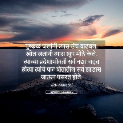Picture 05 - यहेज्केल 31:4 MARIRV - पुष्कळ जलांनी - Bible Verse Picture
