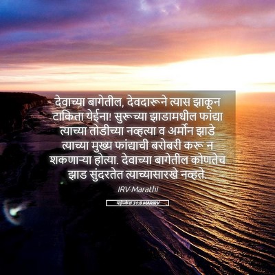 Picture 05 - यहेज्केल 31:8 MARIRV - देवाच्या बागेतील, - Bible Verse Picture