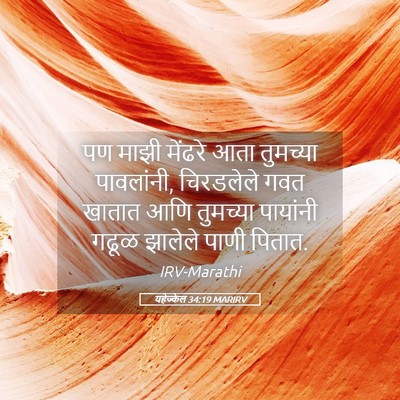 Picture 05 - यहेज्केल 34:19 MARIRV - पण माझी मेंढरे आता - Bible Verse Picture