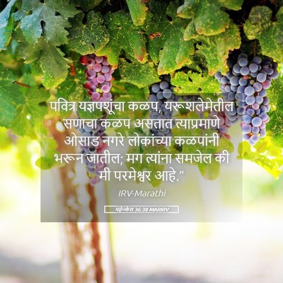 Picture 05 - यहेज्केल 36:38 MARIRV - पवित्र यज्ञपशूंचा - Bible Verse Picture