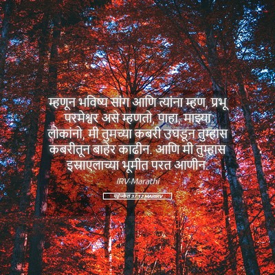 Picture 05 - यहेज्केल 37:12 MARIRV - म्हणून भविष्य - Bible Verse Picture