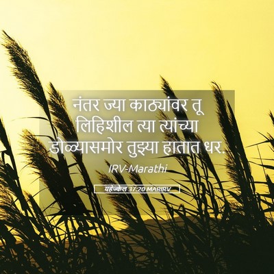 Picture 05 - यहेज्केल 37:20 MARIRV - नंतर ज्या - Bible Verse Picture