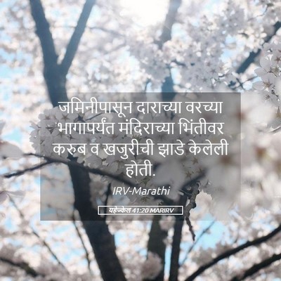 Picture 05 - यहेज्केल 41:20 MARIRV - जमिनीपासून - Bible Verse Picture