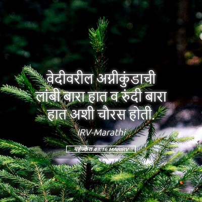 Picture 05 - यहेज्केल 43:16 MARIRV - वेदीवरील - Bible Verse Picture