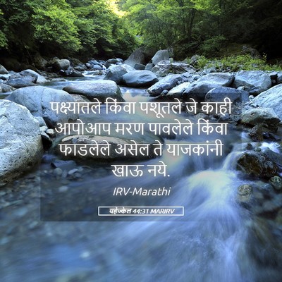 Picture 05 - यहेज्केल 44:31 MARIRV - पक्ष्यातले किंवा - Bible Verse Picture