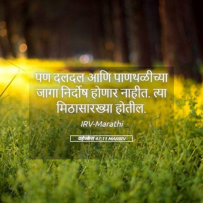 Picture 05 - यहेज्केल 47:11 MARIRV - पण दलदल आणि - Bible Verse Picture