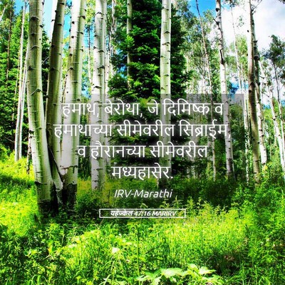 Picture 05 - यहेज्केल 47:16 MARIRV - हमाथ, बेरोथा, जे - Bible Verse Picture