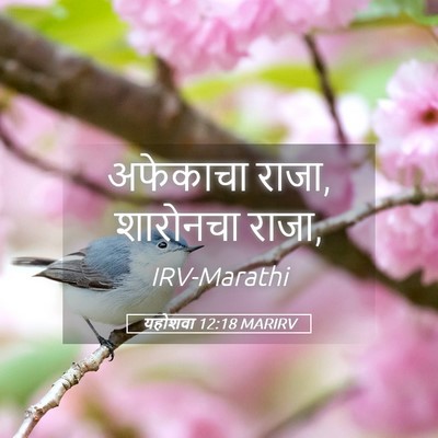Picture 05 - यहोशवा 12:18 MARIRV - अफेकाचा राजा, - Bible Verse Picture