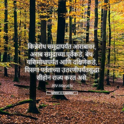Picture 05 - यहोशवा 12:3 MARIRV - किन्नेरोथ - Bible Verse Picture