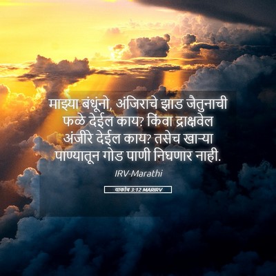 Picture 05 - याकोब 3:12 MARIRV - माझ्या बंधूंनो, - Bible Verse Picture