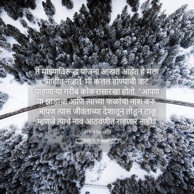 Picture 05 - यिर्मया 11:19 MARIRV - ते माझ्याविरूद्ध - Bible Verse Picture