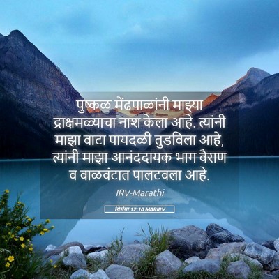Picture 05 - यिर्मया 12:10 MARIRV - पुष्कळ - Bible Verse Picture
