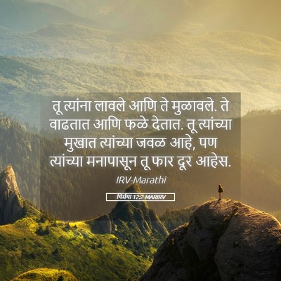 Picture 05 - यिर्मया 12:2 MARIRV - तू त्यांना लावले - Bible Verse Picture