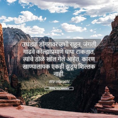 Picture 05 - यिर्मया 14:6 MARIRV - उघड्या डोंगरावर - Bible Verse Picture
