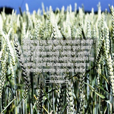 Picture 05 - यिर्मया 16:4 MARIRV - “ते रोगग्रस्त - Bible Verse Picture
