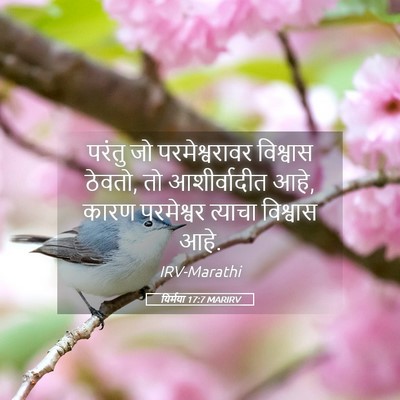 Picture 05 - यिर्मया 17:7 MARIRV - परंतु जो - Bible Verse Picture