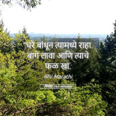 Picture 05 - यिर्मया 29:5 MARIRV - “घरे बांधून - Bible Verse Picture