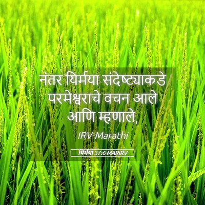 Picture 05 - यिर्मया 37:6 MARIRV - नंतर यिर्मया - Bible Verse Picture