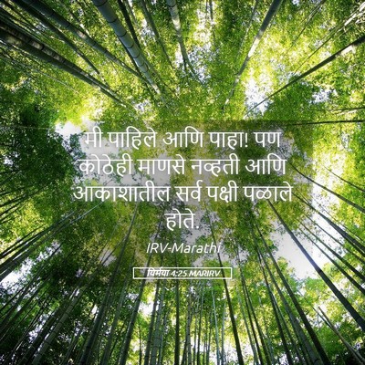 Picture 05 - यिर्मया 4:25 MARIRV - मी पाहिले आणि पाहा! - Bible Verse Picture