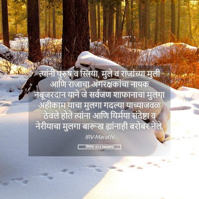 Picture 05 - यिर्मया 43:6 MARIRV - त्यांनी पुरुष व - Bible Verse Picture