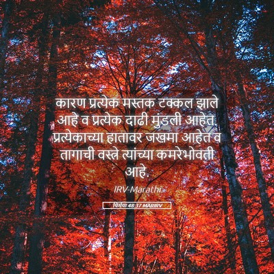 Picture 05 - यिर्मया 48:37 MARIRV - कारण प्रत्येक - Bible Verse Picture